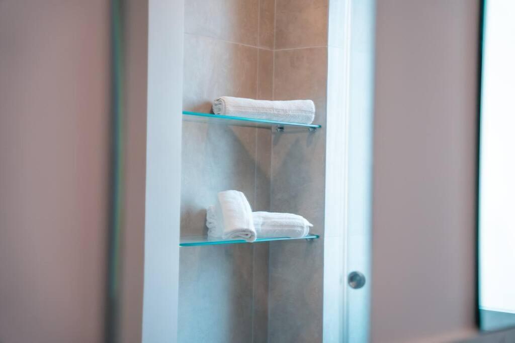 Myosotis Luxury *